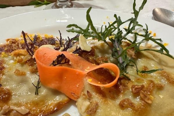 Sabores y Saberes Volumen II: un recorrido por la gastronomía y el bosque nativo de Ñuble